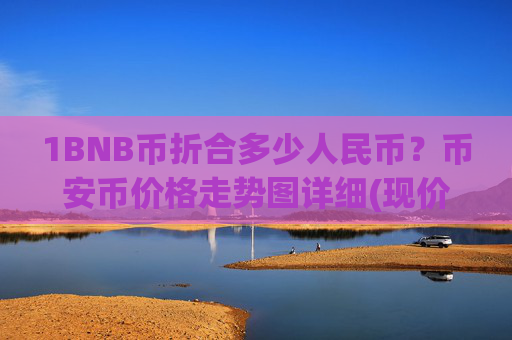 1BNB币折合多少人民币？币安币价格走势图详细(现价4919.67元)