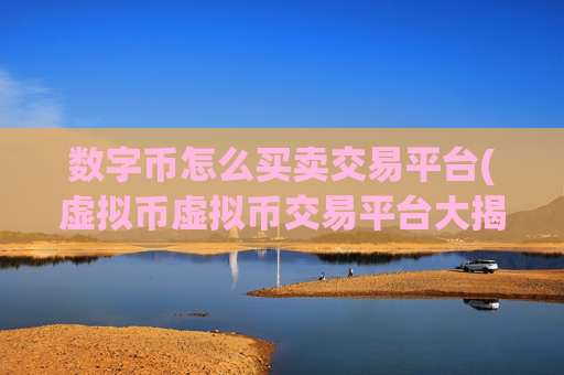 数字币怎么买卖交易平台(虚拟币虚拟币交易平台大揭秘)