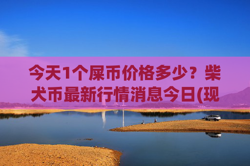 今天1个屎币价格多少？柴犬币最新行情消息今日(现价0.00016145元)