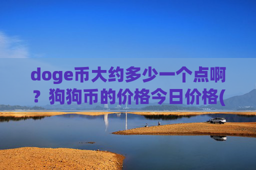 doge币大约多少一个点啊？狗狗币的价格今日价格(现价2.3351元)