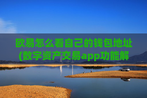 欧易怎么看自己的钱包地址(数字资产交易app功能解析)