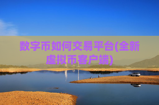 数字币如何交易平台(全新虚拟币客户端)