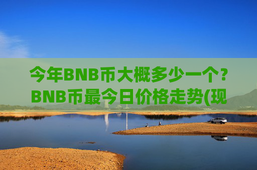 今年BNB币大概多少一个？BNB币最今日价格走势(现价4900.34元)