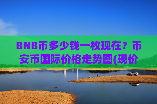 BNB币多少钱一枚现在?币安币国际价格走势图(现价4920.15元)