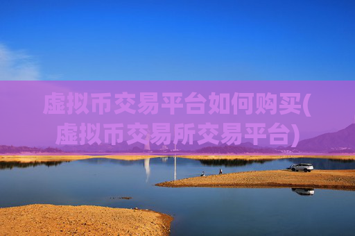 虚拟币交易平台如何购买(虚拟币交易所交易平台)