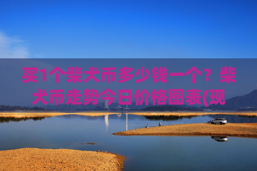 买1个柴犬币多少钱一个?柴犬币走势今日价格图表(现价0.00016094元)