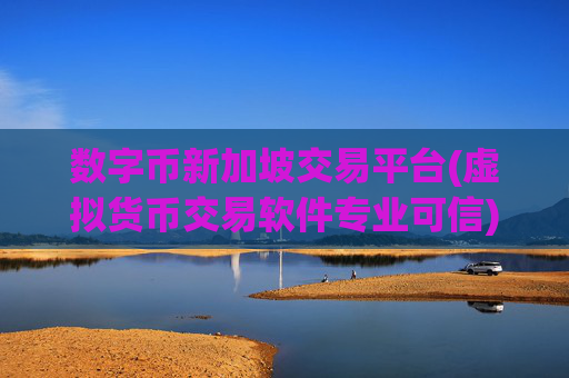 数字币新加坡交易平台(虚拟货币交易软件专业可信)
