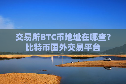 交易所BTC币地址在哪查？比特币国外交易平台