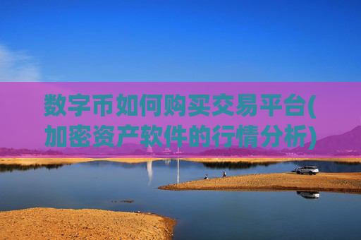 数字币如何购买交易平台(加密资产软件的行情分析)