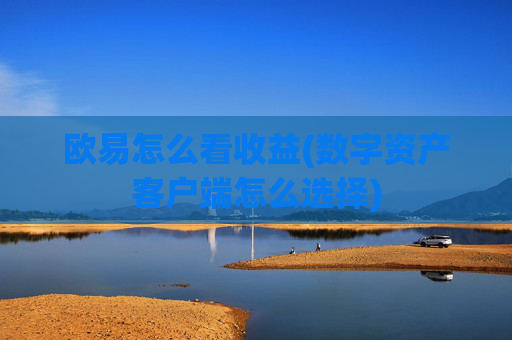 欧易怎么看收益(数字资产客户端怎么选择)
