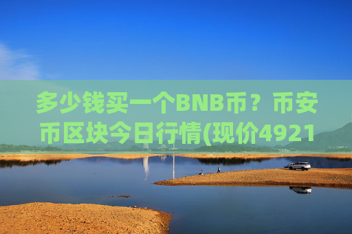 多少钱买一个BNB币?币安币区块今日行情(现价4921.06元)