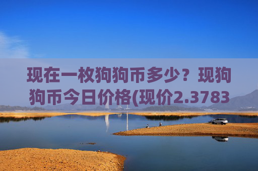 现在一枚狗狗币多少?现狗狗币今日价格(现价2.3783元)