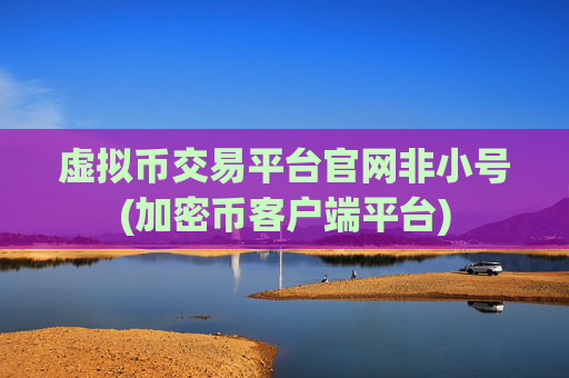 虚拟币交易平台官网非小号(加密币客户端平台)