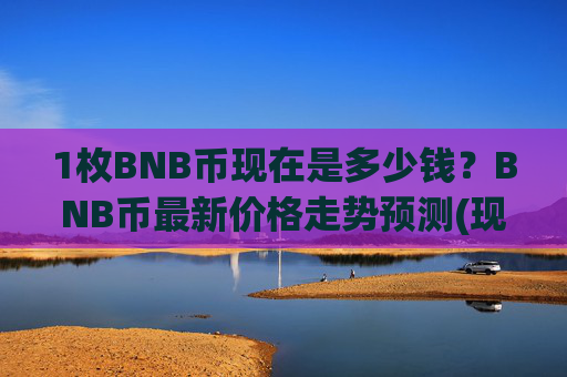 1枚BNB币现在是多少钱？BNB币最新价格走势预测(现价4857.47元)