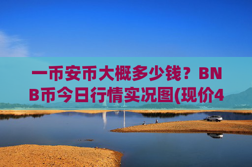 一币安币大概多少钱?BNB币今日行情实况图(现价4869.22元)