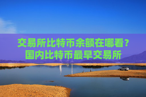 交易所比特币余额在哪看?国内比特币最早交易所