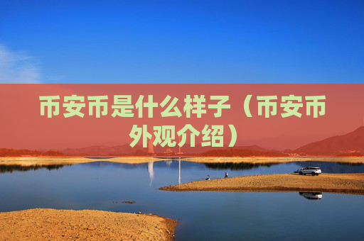 币安币是什么样子（币安币外观介绍）