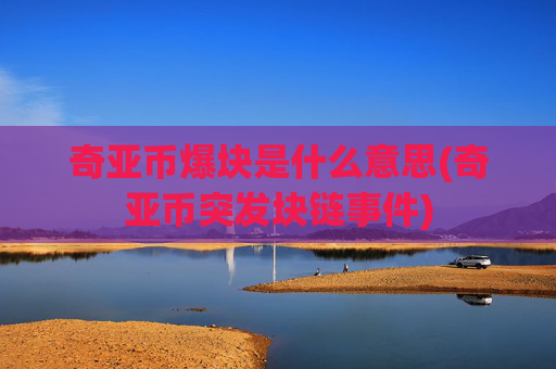 奇亚币爆块是什么意思(奇亚币突发块链事件)