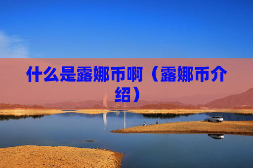 什么是露娜币啊(露娜币介绍)