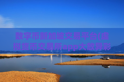 数字币新加坡交易平台(虚拟货币交易所app大放异彩)