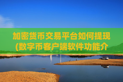加密货币交易平台如何提现(数字币客户端软件功能介绍)