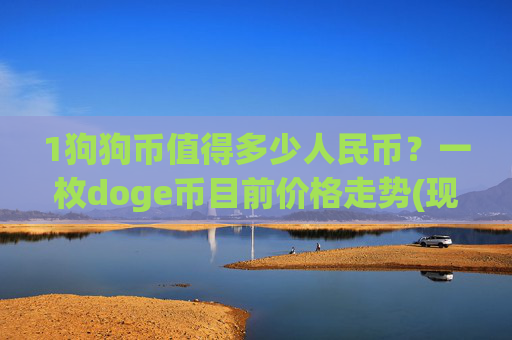 1狗狗币值得多少人民币?一枚doge币目前价格走势(现价2.2746元)