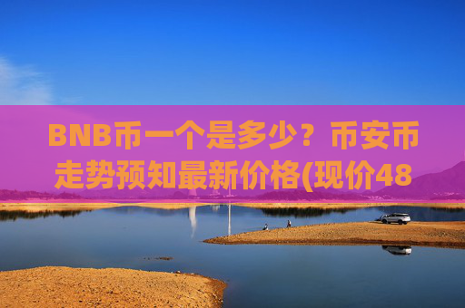 BNB币一个是多少？币安币走势预知最新价格(现价4856.96元)