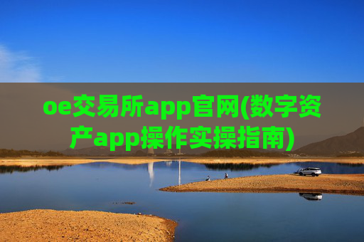 oe交易所app官网(数字资产app操作实操指南)