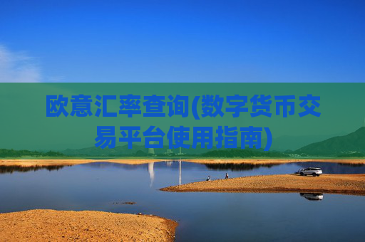 欧意汇率查询(数字货币交易平台使用指南)