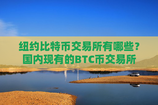 纽约比特币交易所有哪些？国内现有的BTC币交易所