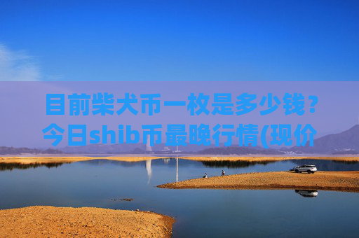 目前柴犬币一枚是多少钱?今日shib币最晚行情(现价0.0001591元)