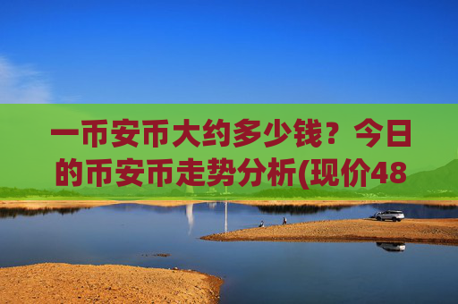 一币安币大约多少钱？今日的币安币走势分析(现价4893.22元)