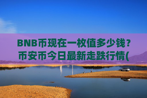 BNB币现在一枚值多少钱？币安币今日最新走跌行情(现价4838.65元)