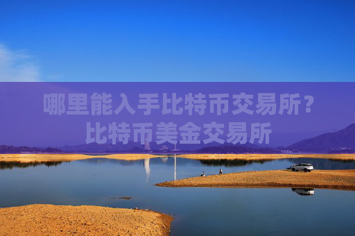 哪里能入手比特币交易所?比特币美金交易所