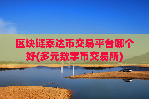 区块链泰达币交易平台哪个好(多元数字币交易所)