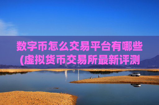 数字币怎么交易平台有哪些(虚拟货币交易所最新评测)