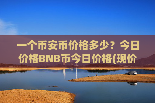 一个币安币价格多少?今日价格BNB币今日价格(现价4898.25元)