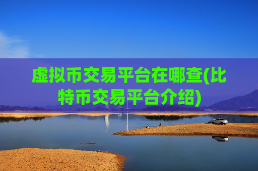 虚拟币交易平台在哪查(比特币交易平台介绍)