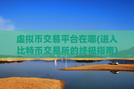 虚拟币交易平台在哪(进入比特币交易所的终极指南)