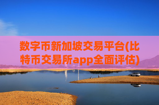数字币新加坡交易平台(比特币交易所app全面评估)
