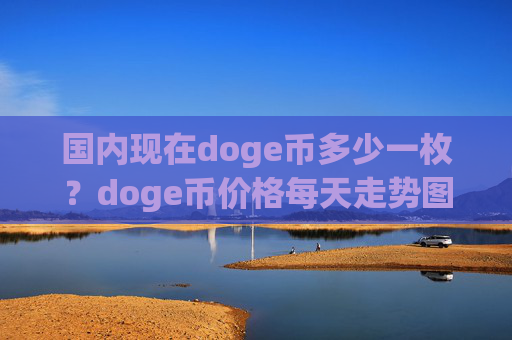 国内现在doge币多少一枚？doge币价格每天走势图表(现价2.3059元)