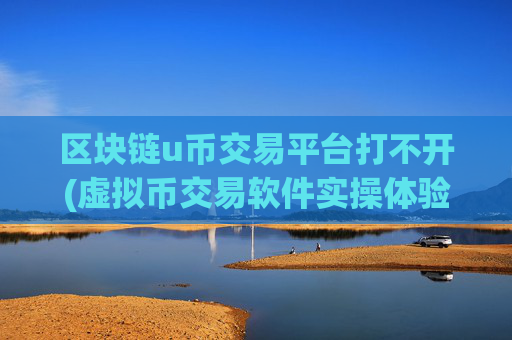 区块链u币交易平台打不开(虚拟币交易软件实操体验)