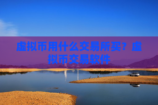 虚拟币用什么交易所买?虚拟币交易软件