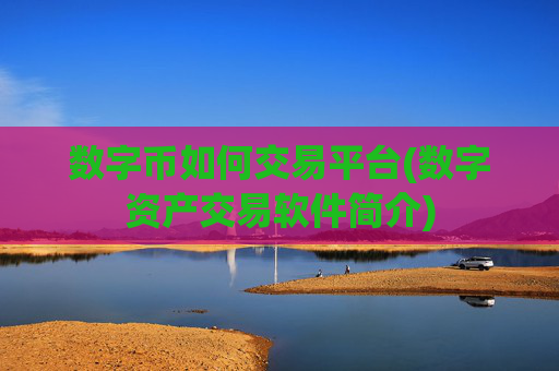 数字币如何交易平台(数字资产交易软件简介)