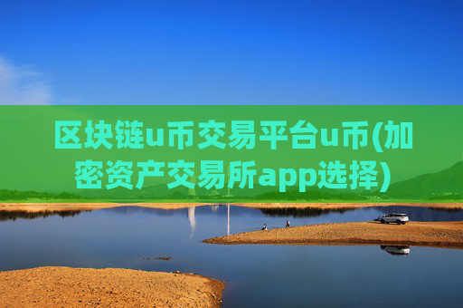 区块链u币交易平台u币(加密资产交易所app选择)