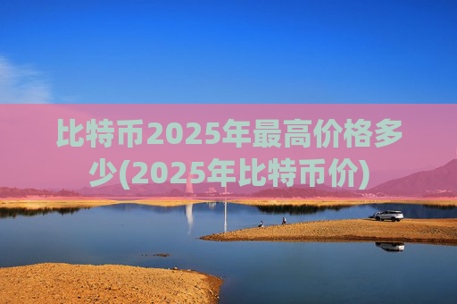 比特币2025年最高价格多少(2025年比特币价)