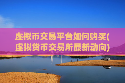 虚拟币交易平台如何购买(虚拟货币交易所最新动向)