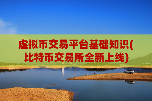 虚拟币交易平台基础知识(比特币交易所全新上线)