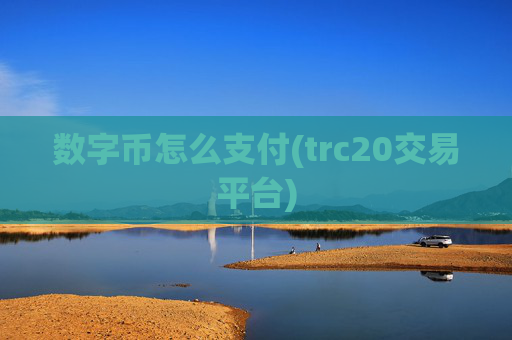 数字币怎么支付(trc20交易平台)