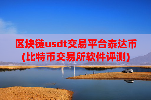 区块链usdt交易平台泰达币(比特币交易所软件评测)